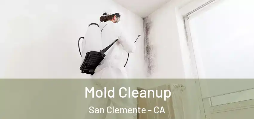  Mold Cleanup San Clemente - CA