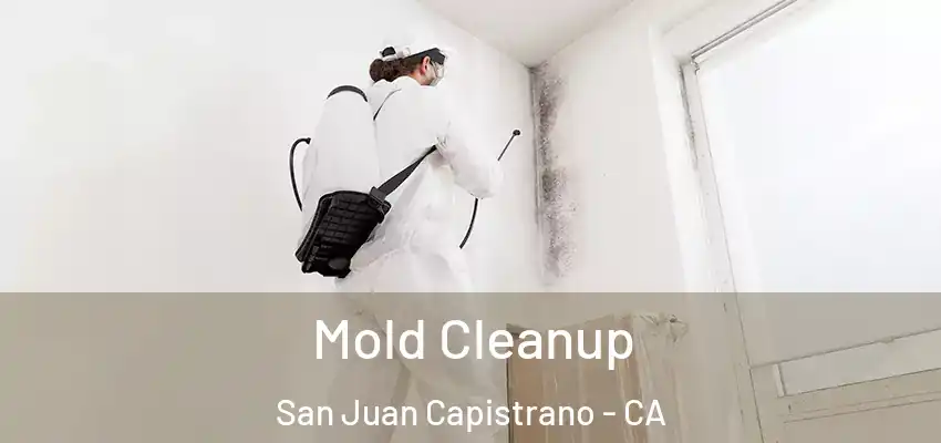  Mold Cleanup San Juan Capistrano - CA
