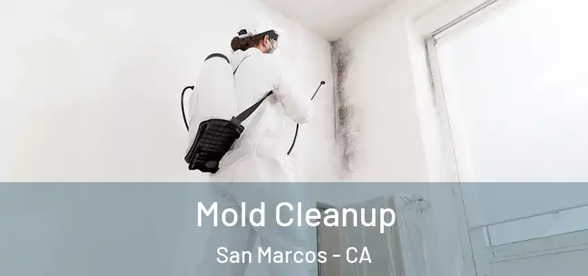  Mold Cleanup San Marcos - CA