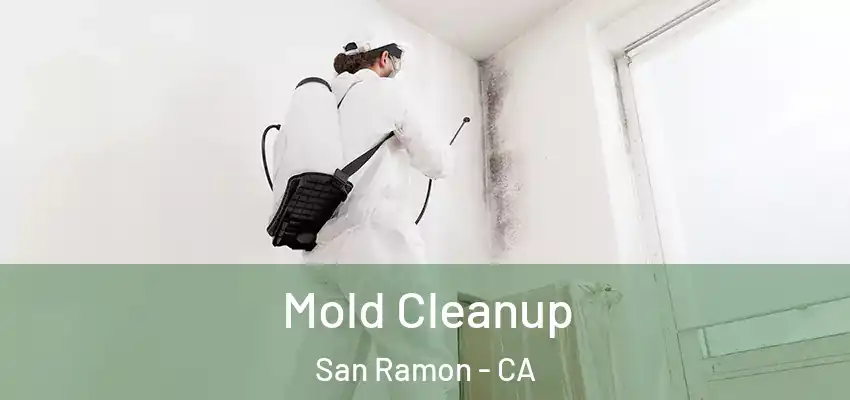  Mold Cleanup San Ramon - CA