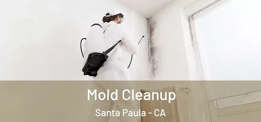  Mold Cleanup Santa Paula - CA