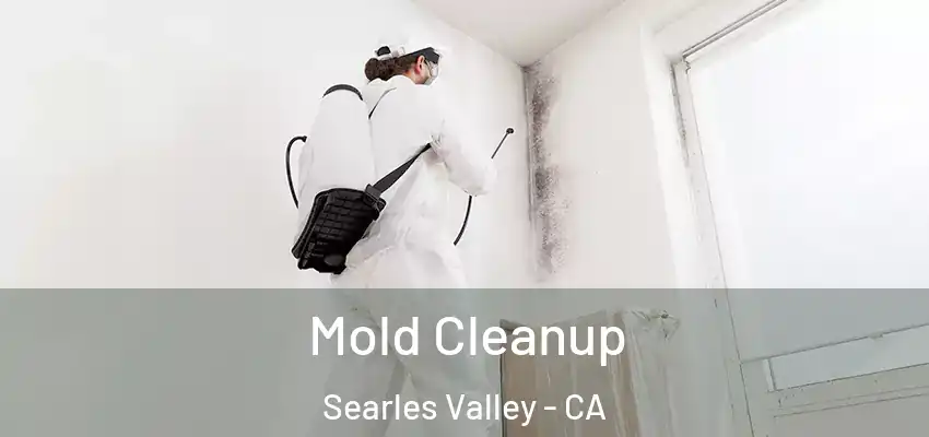  Mold Cleanup Searles Valley - CA