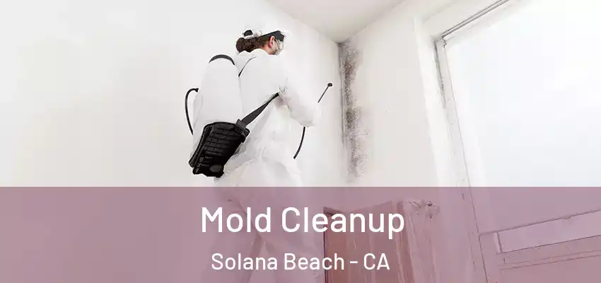  Mold Cleanup Solana Beach - CA