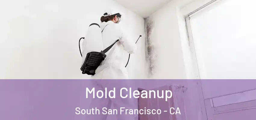  Mold Cleanup South San Francisco - CA