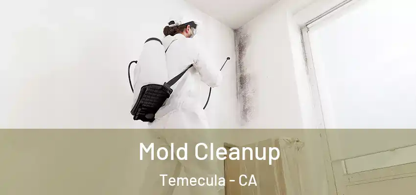  Mold Cleanup Temecula - CA