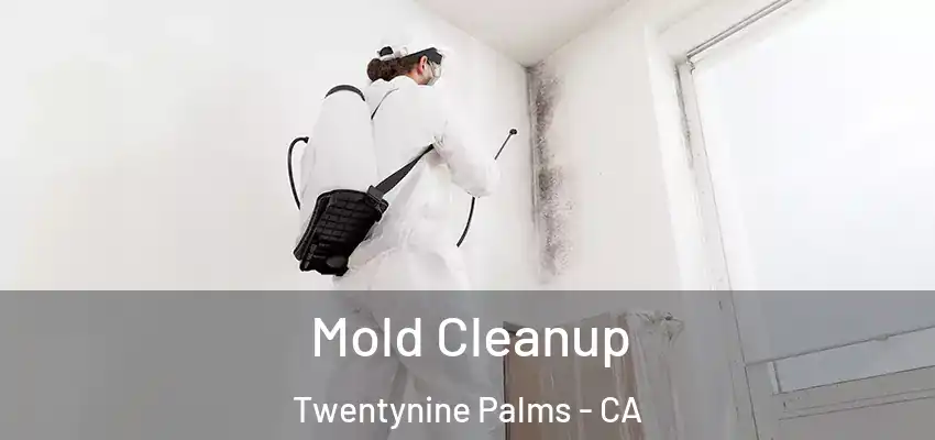  Mold Cleanup Twentynine Palms - CA