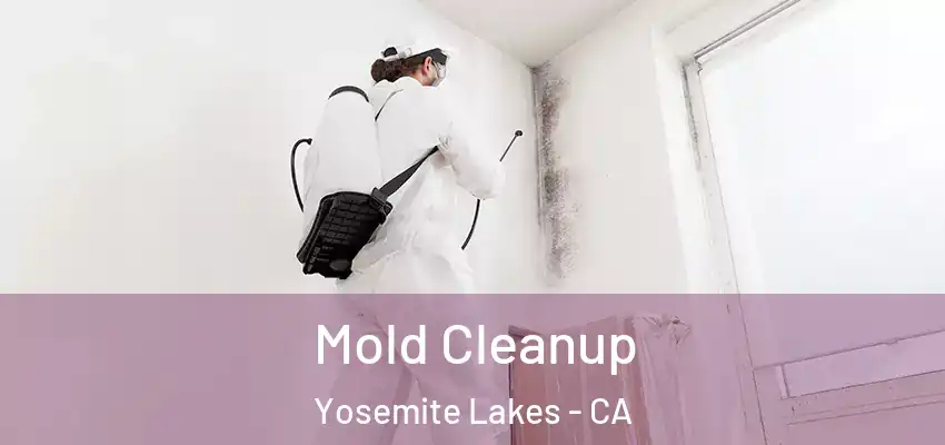  Mold Cleanup Yosemite Lakes - CA