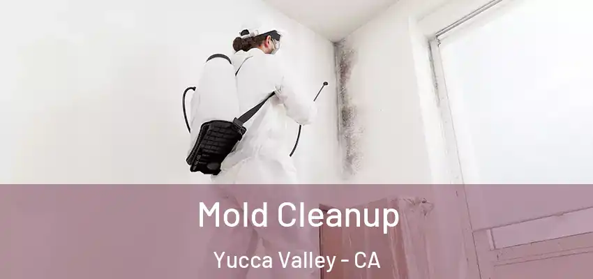  Mold Cleanup Yucca Valley - CA