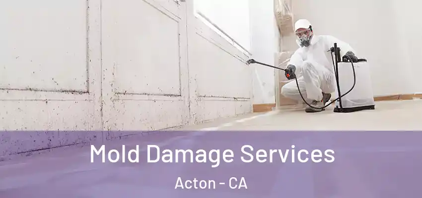  Mold Damage Services Acton - CA
