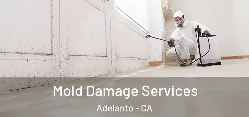  Mold Damage Services Adelanto - CA