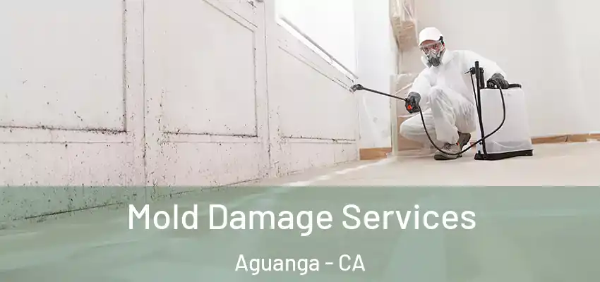  Mold Damage Services Aguanga - CA