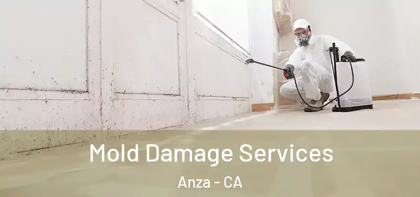  Mold Damage Services Anza - CA