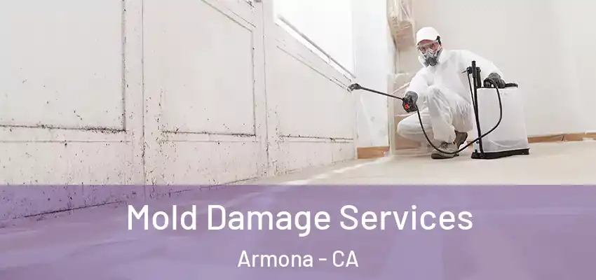  Mold Damage Services Armona - CA