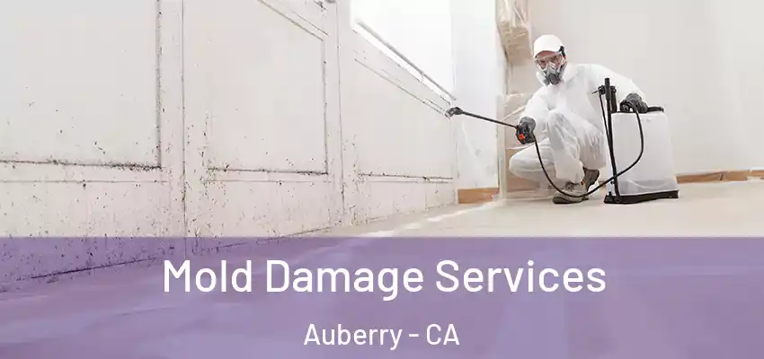  Mold Damage Services Auberry - CA