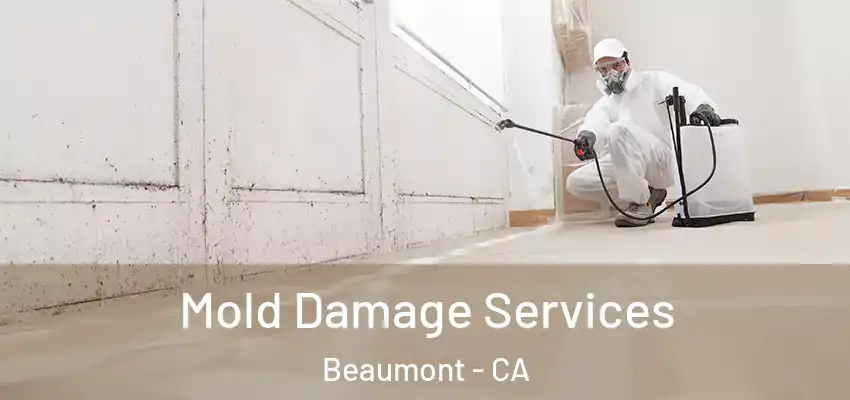  Mold Damage Services Beaumont - CA