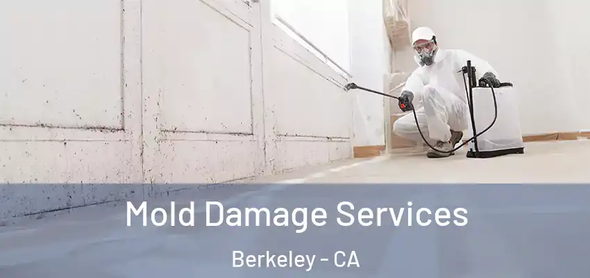  Mold Damage Services Berkeley - CA