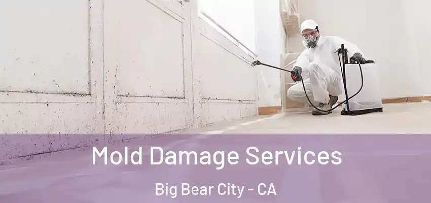  Mold Damage Services Big Bear City - CA