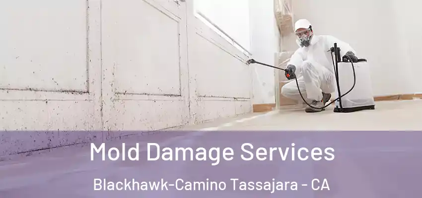 Mold Damage Services Blackhawk-Camino Tassajara - CA