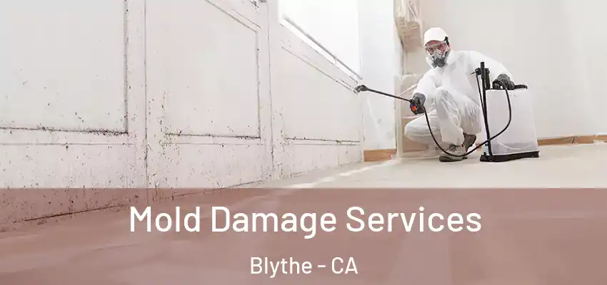  Mold Damage Services Blythe - CA