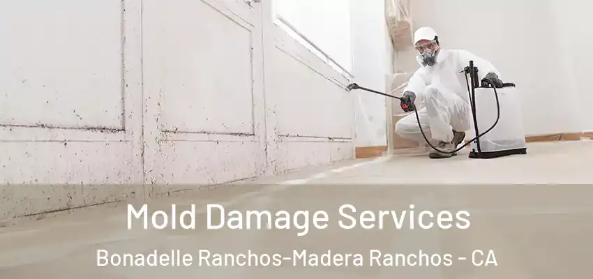  Mold Damage Services Bonadelle Ranchos-Madera Ranchos - CA
