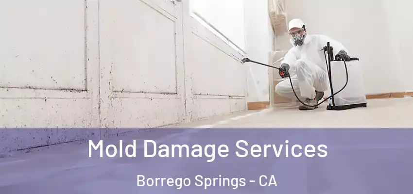  Mold Damage Services Borrego Springs - CA