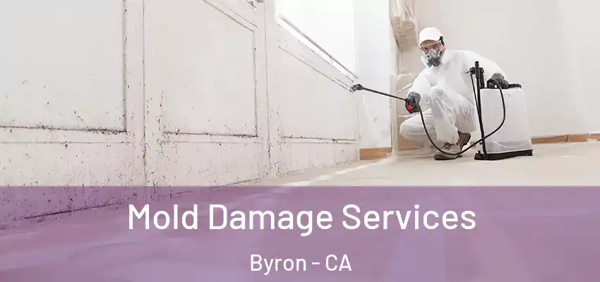  Mold Damage Services Byron - CA