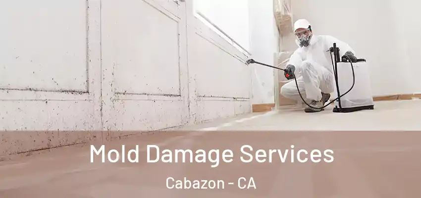  Mold Damage Services Cabazon - CA