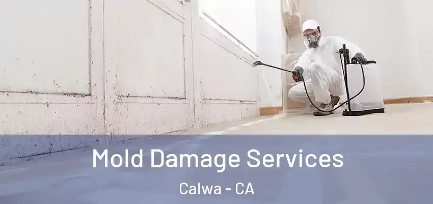  Mold Damage Services Calwa - CA