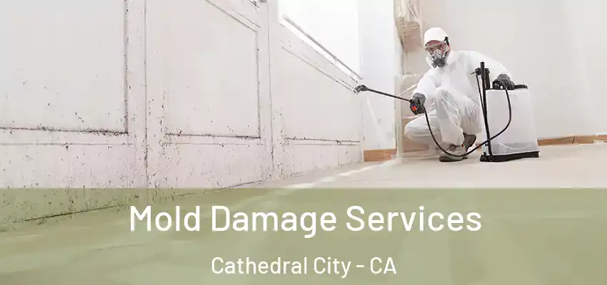  Mold Damage Services Cathedral City - CA