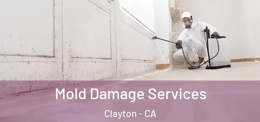  Mold Damage Services Clayton - CA
