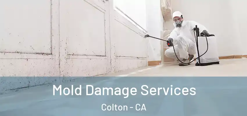  Mold Damage Services Colton - CA