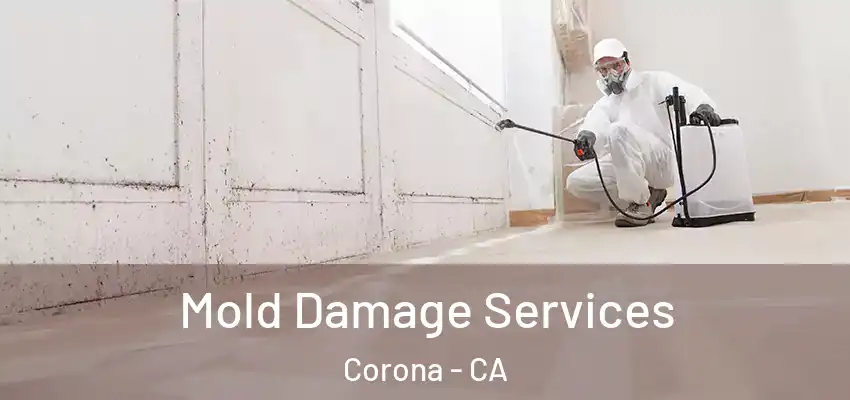  Mold Damage Services Corona - CA