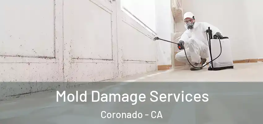  Mold Damage Services Coronado - CA