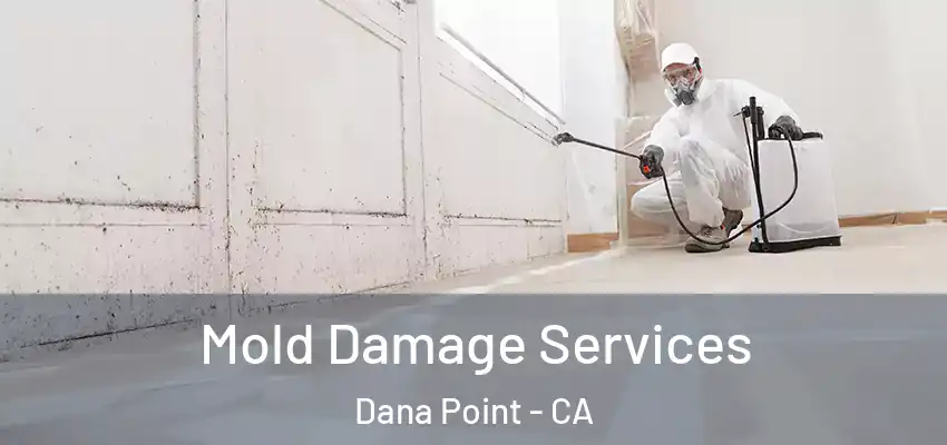  Mold Damage Services Dana Point - CA