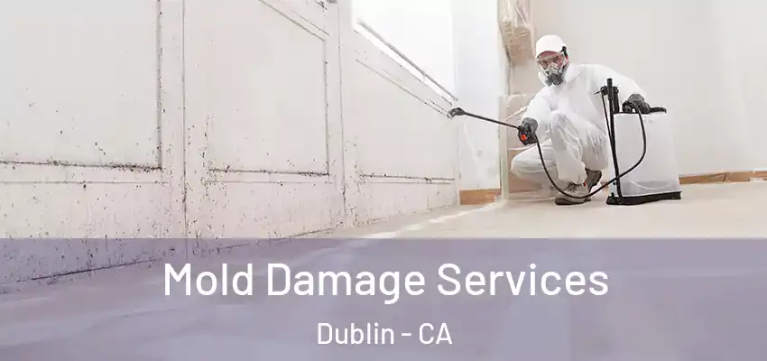  Mold Damage Services Dublin - CA