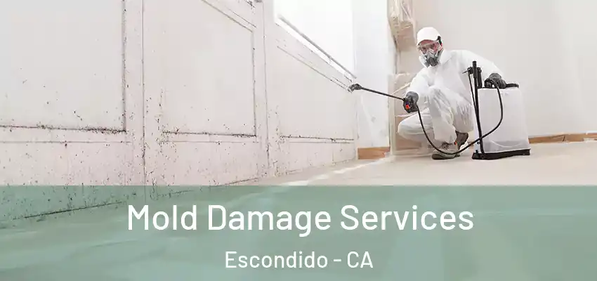  Mold Damage Services Escondido - CA