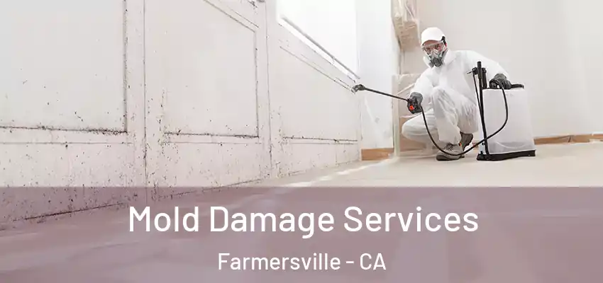  Mold Damage Services Farmersville - CA