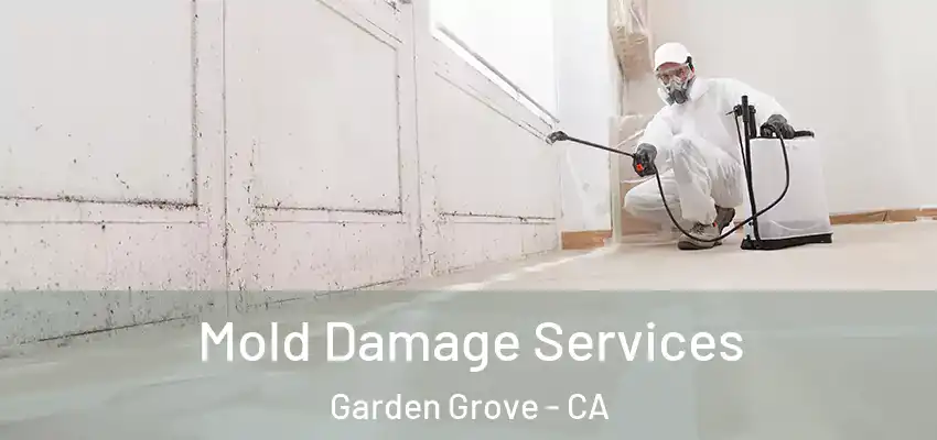  Mold Damage Services Garden Grove - CA