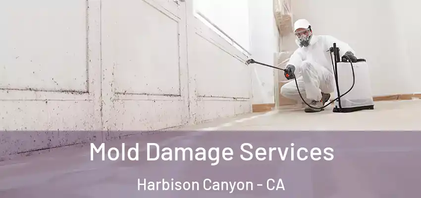  Mold Damage Services Harbison Canyon - CA