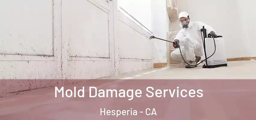  Mold Damage Services Hesperia - CA