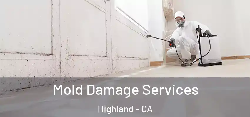  Mold Damage Services Highland - CA