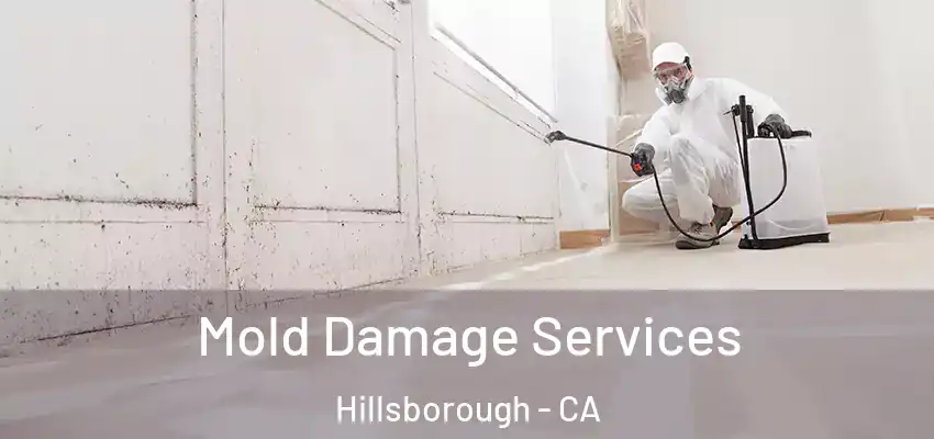  Mold Damage Services Hillsborough - CA
