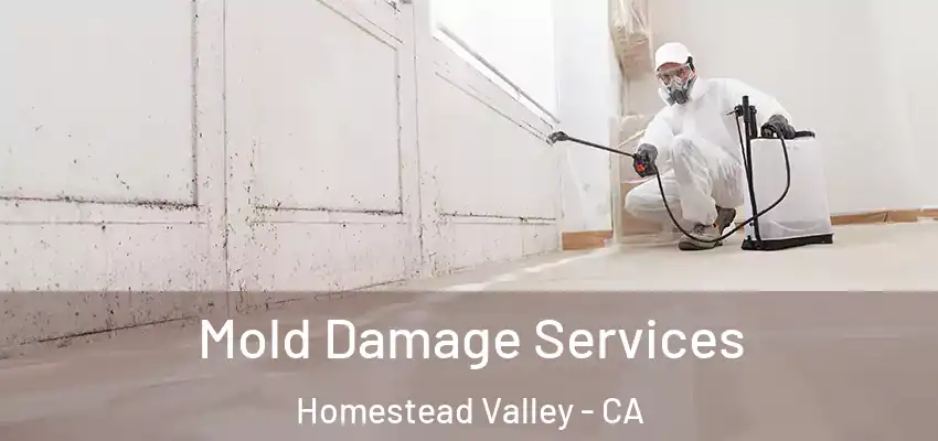  Mold Damage Services Homestead Valley - CA