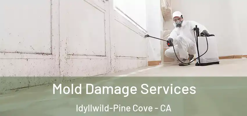  Mold Damage Services Idyllwild-Pine Cove - CA