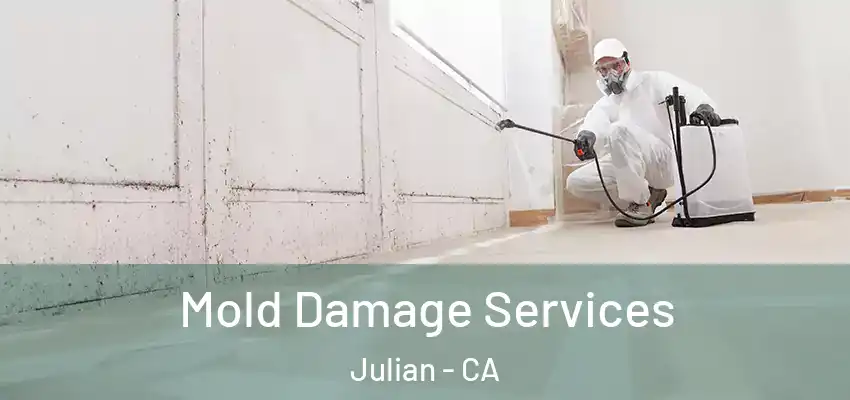  Mold Damage Services Julian - CA