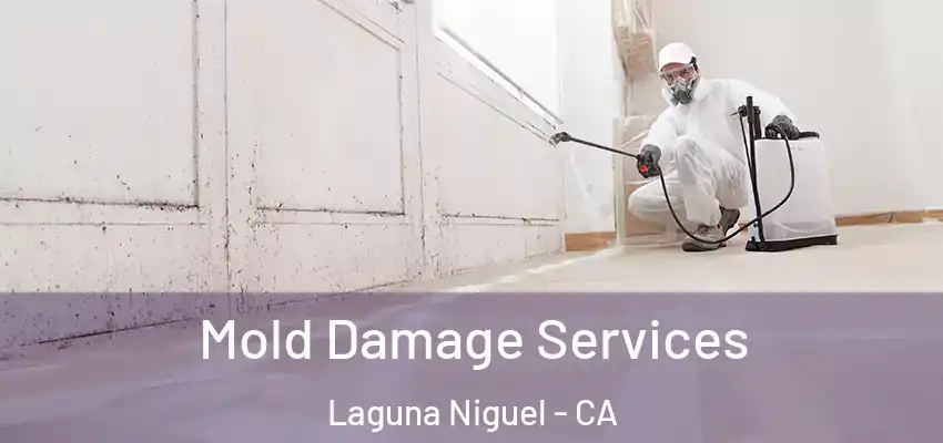  Mold Damage Services Laguna Niguel - CA