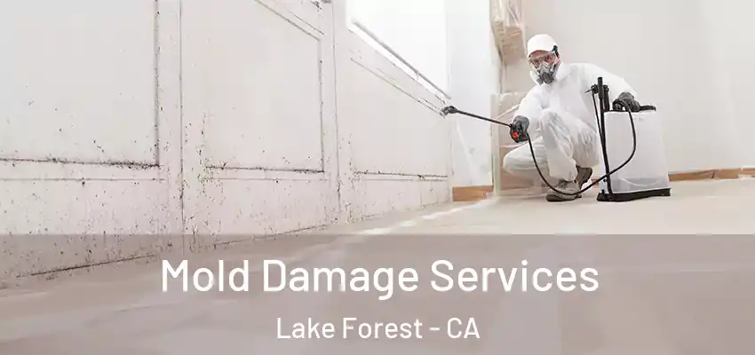  Mold Damage Services Lake Forest - CA