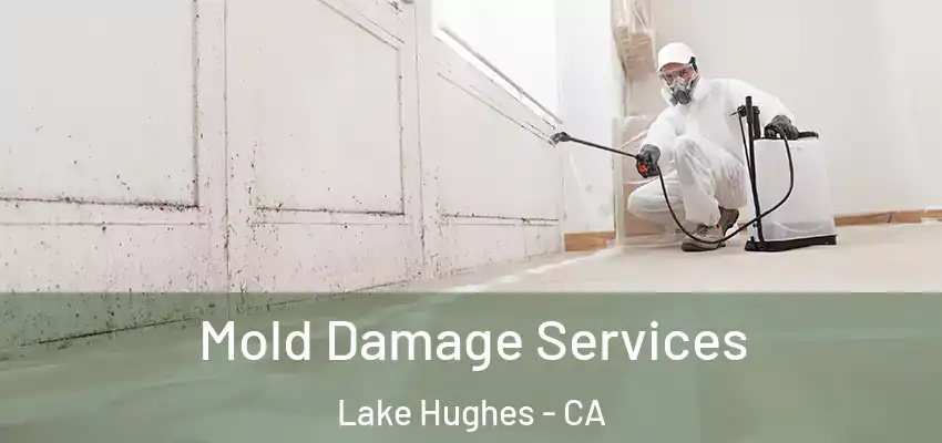  Mold Damage Services Lake Hughes - CA
