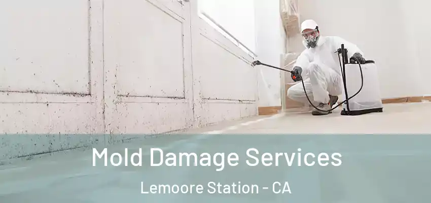  Mold Damage Services Lemoore Station - CA