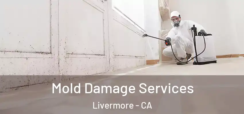  Mold Damage Services Livermore - CA